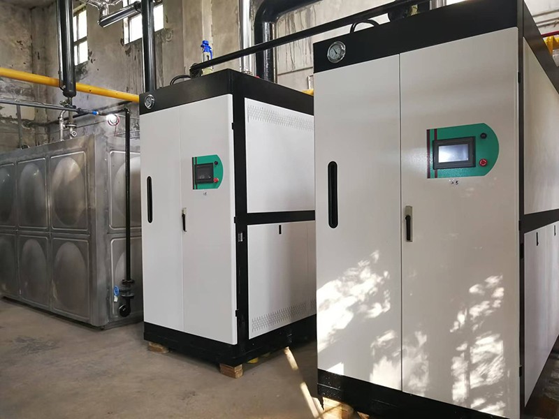  制藥廠(chǎng)低氮蒸汽發(fā)生器案例