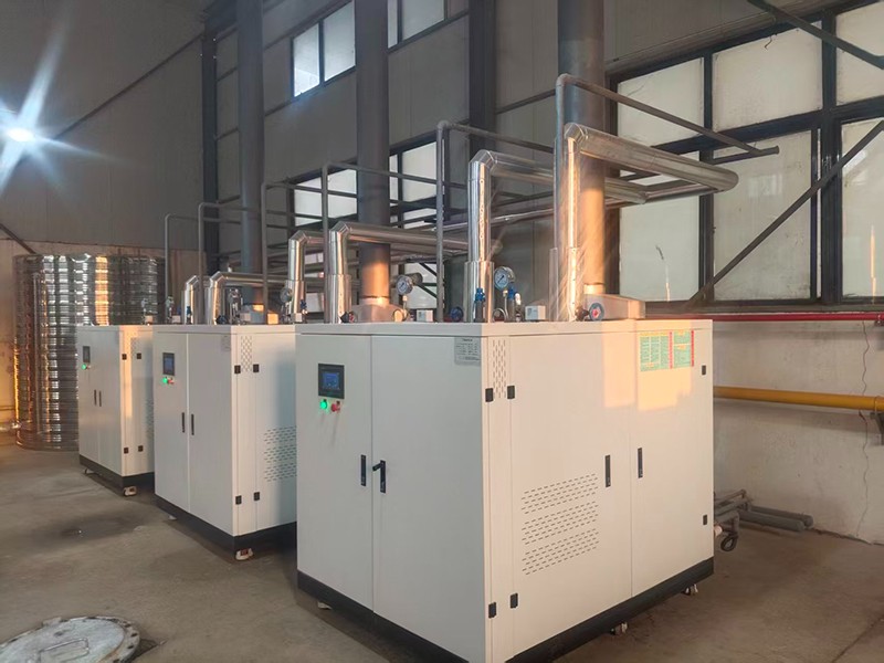 全預混燃氣蒸汽發(fā)生器案例